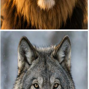 Praca konkursowa nr 11