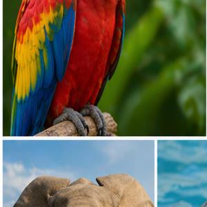 Praca konkursowa nr 7