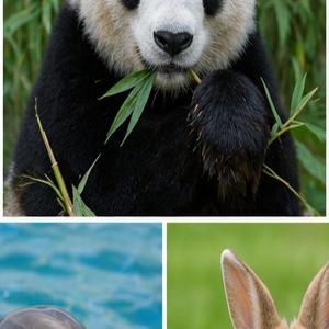 Praca konkursowa nr 8